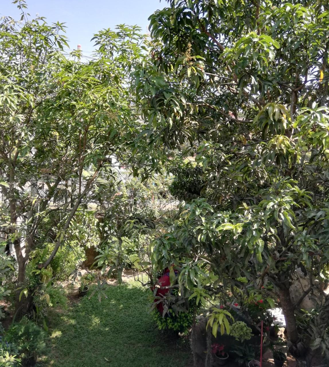 Nisadi Villa Bentota Exteriör bild